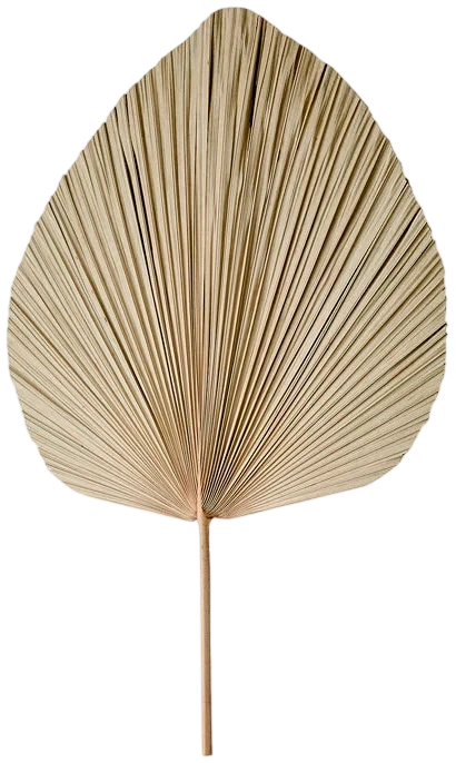Hoja decorativa - Texas