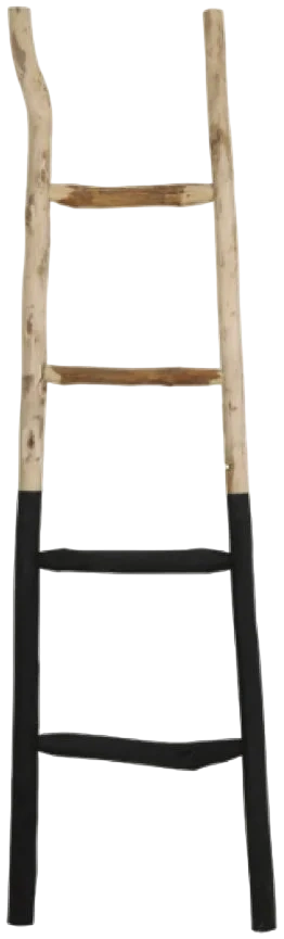 Escalera Big Fish (Dos colores)