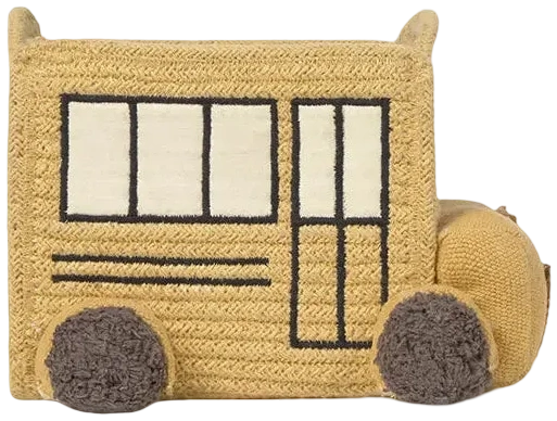 Canasto mini bus