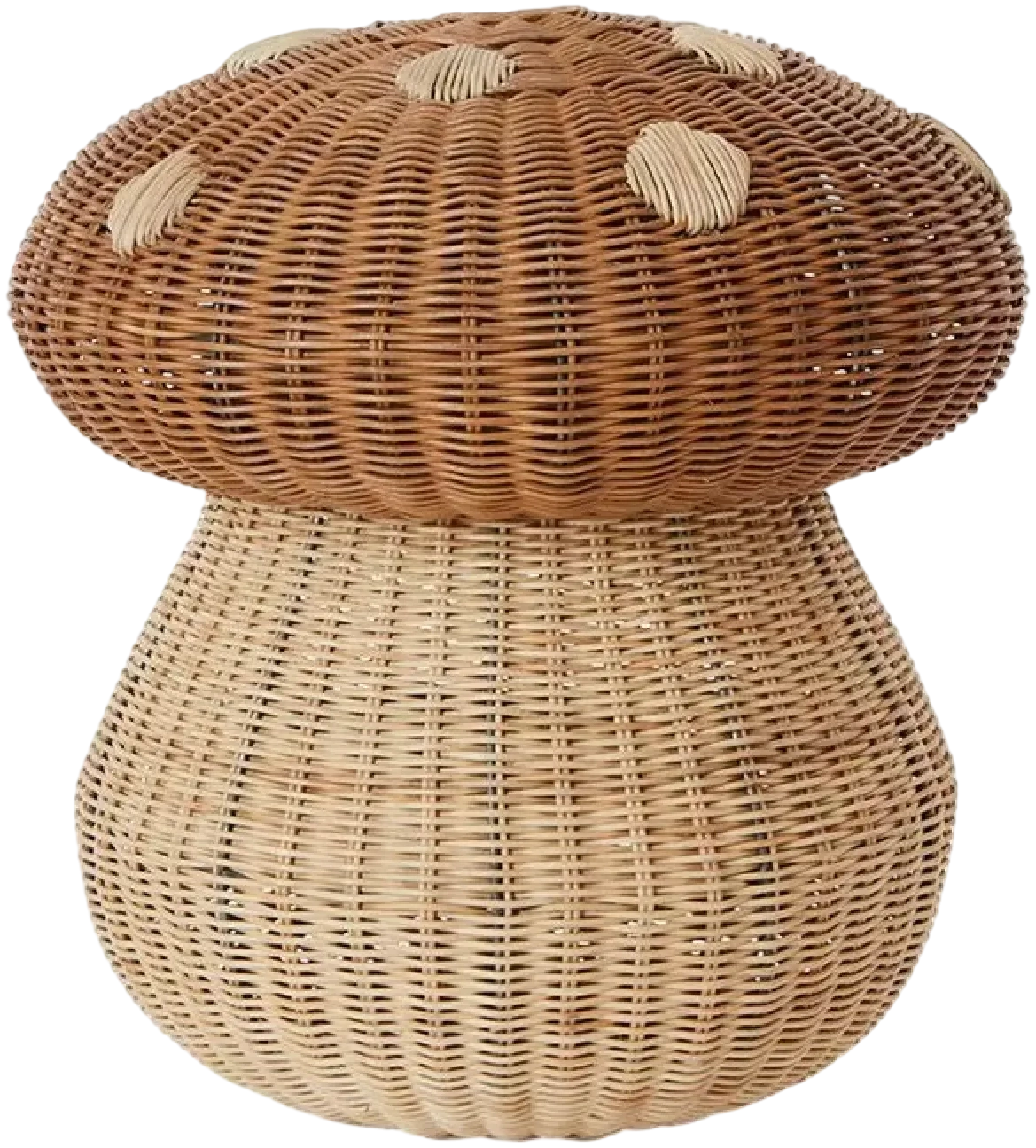 Canasto Mushroom