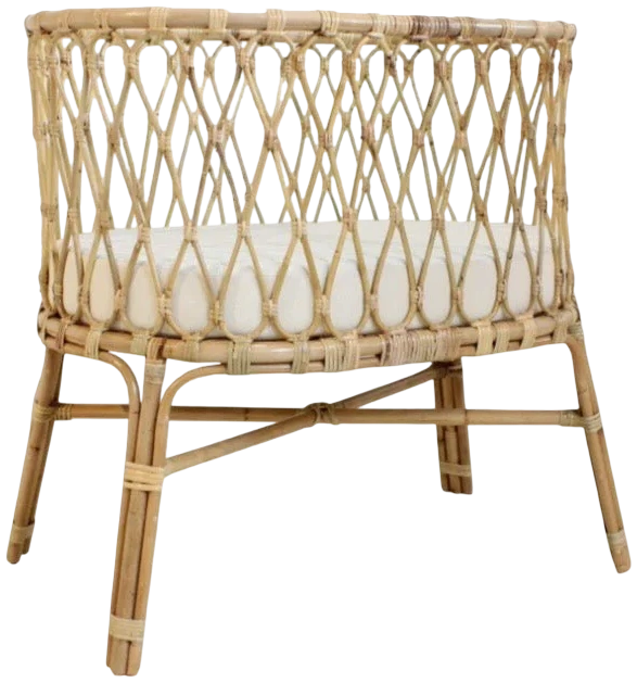 Moises Rattan Sunshine
