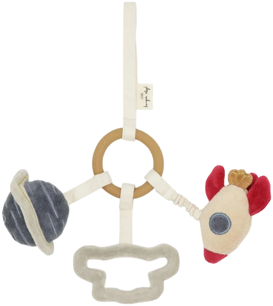 Activity Ring - Space