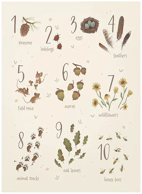 Lámina / poster - Nature numbers