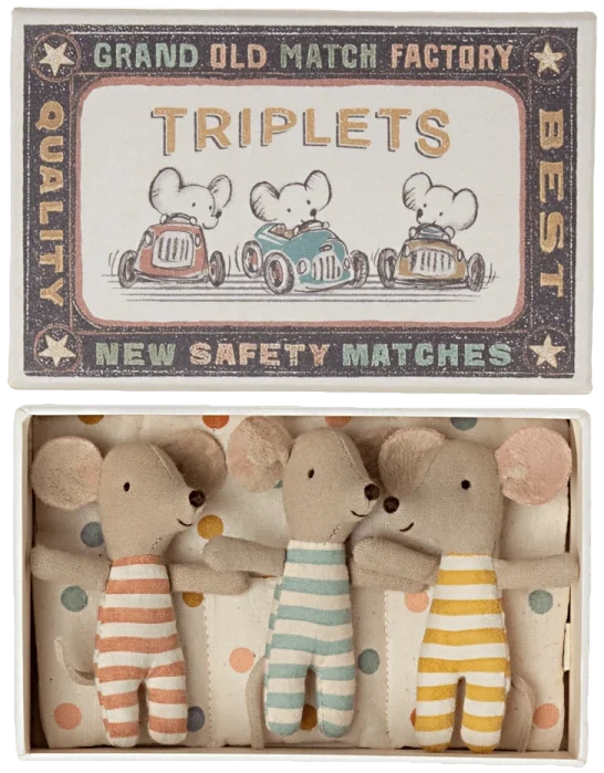 Ratoncitos - Triplets Baby mice in matchbox
